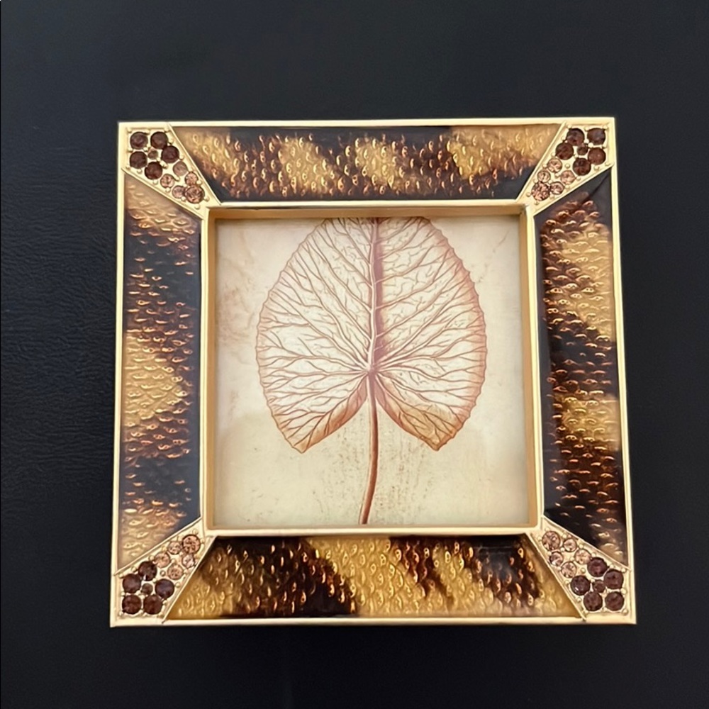 Jay Strongwater frame
